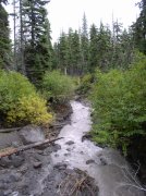 Newton Creek Oct 16 2005 076 